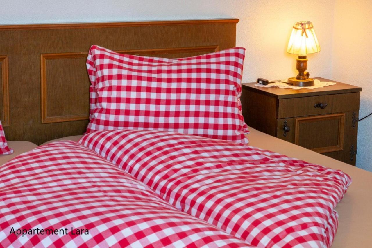 Appartement Lara & Lea زيل أم زيلر المظهر الخارجي الصورة